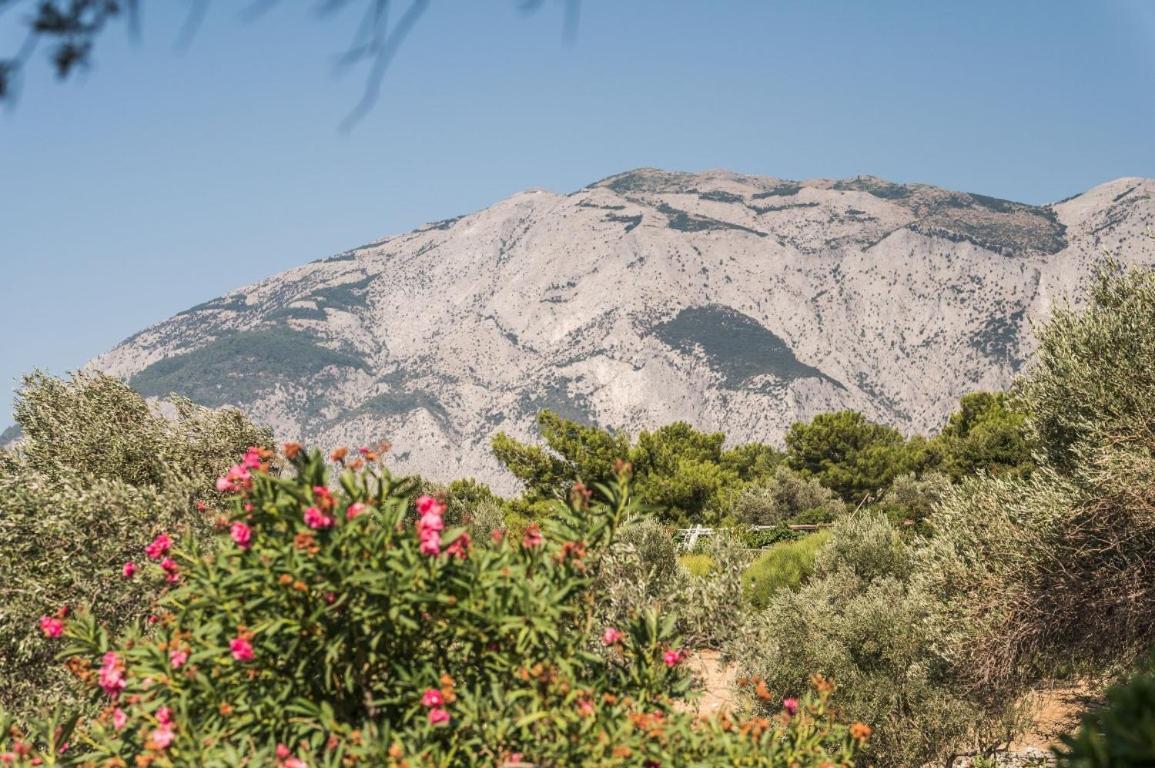 Villa Vigla-Βίγλα 1 2 Ormos  Exterior foto