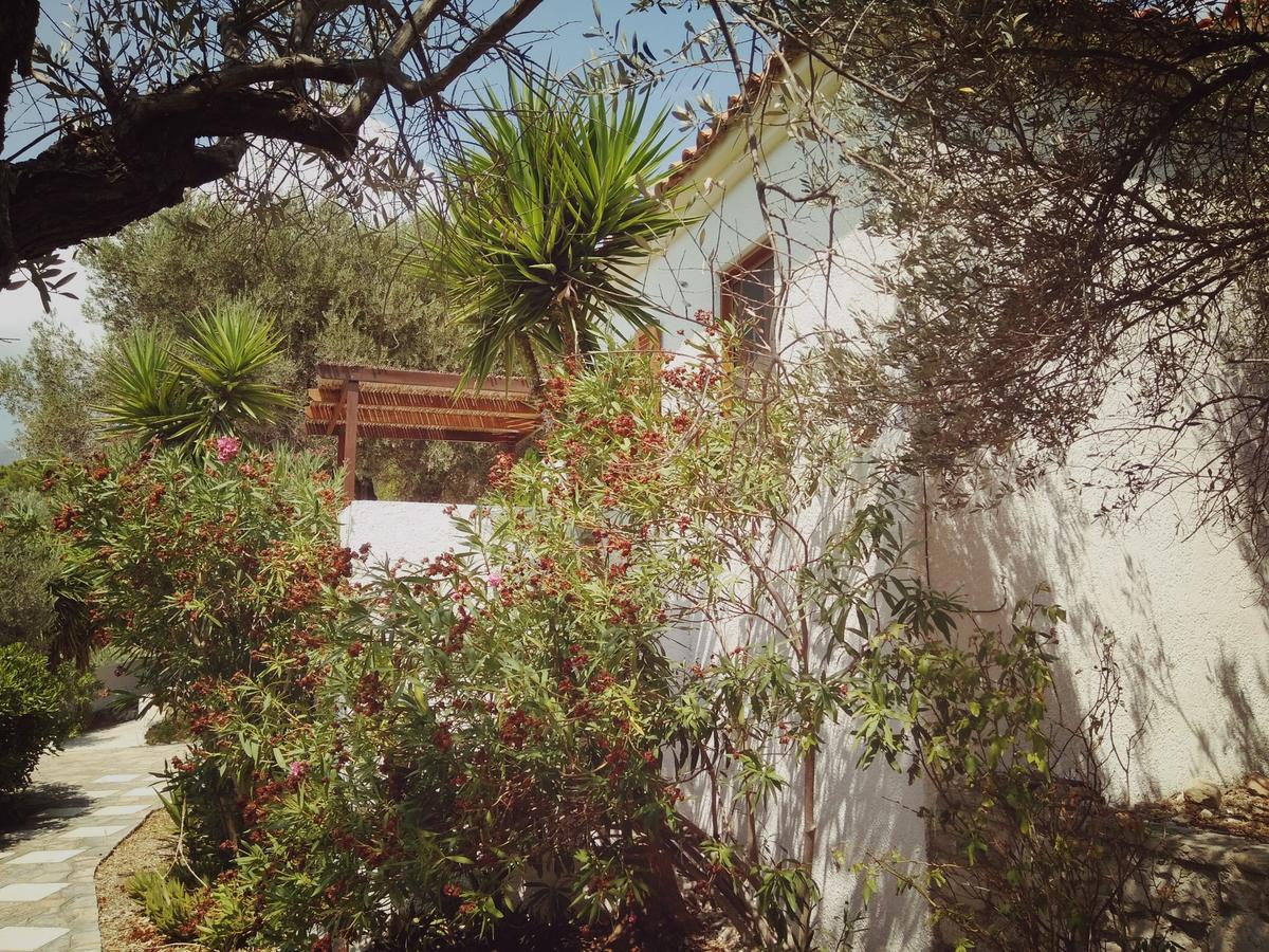 Villa Vigla-Βίγλα 1 2 Ormos  Exterior foto