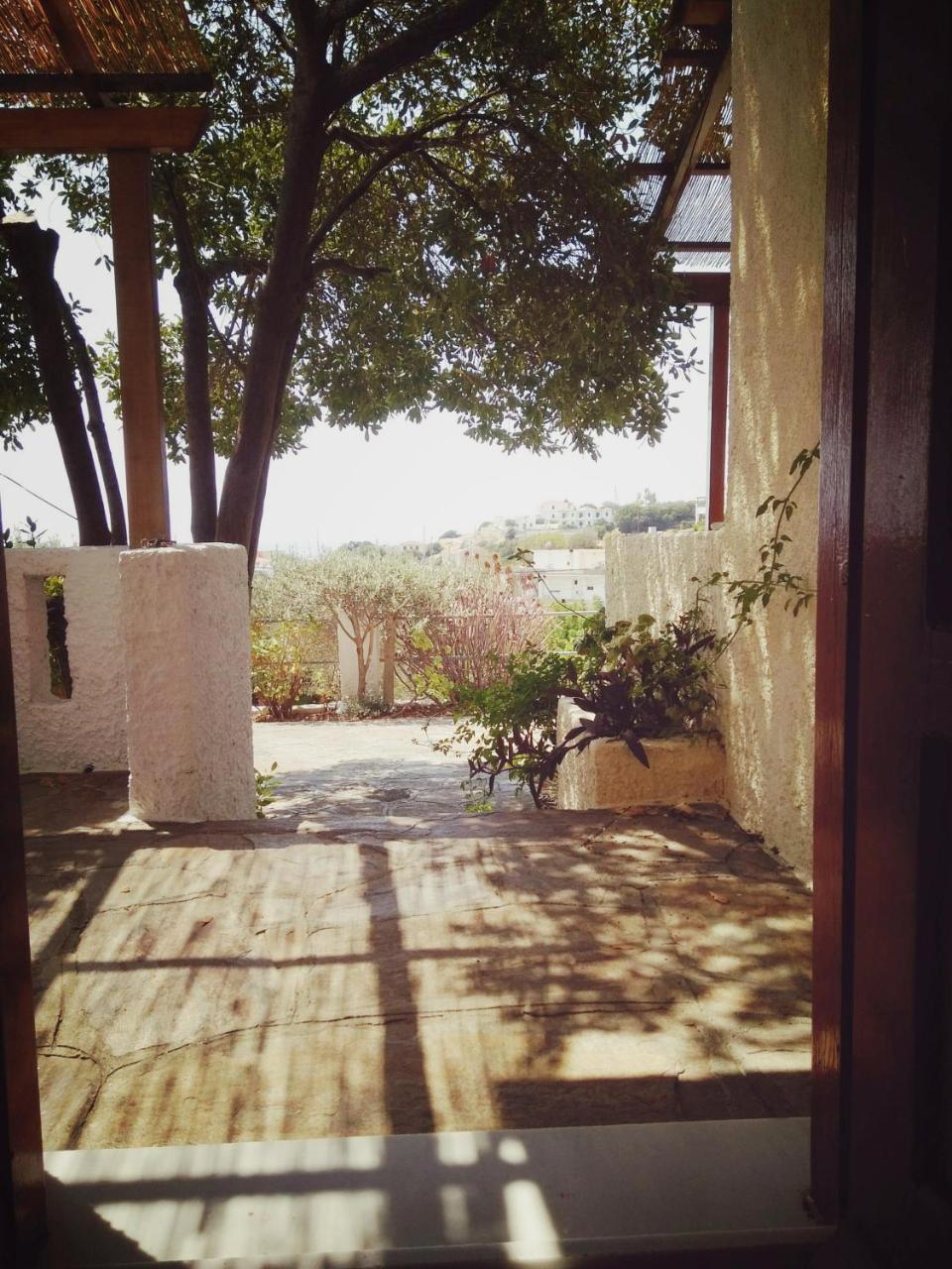Villa Vigla-Βίγλα 1 2 Ormos  Exterior foto