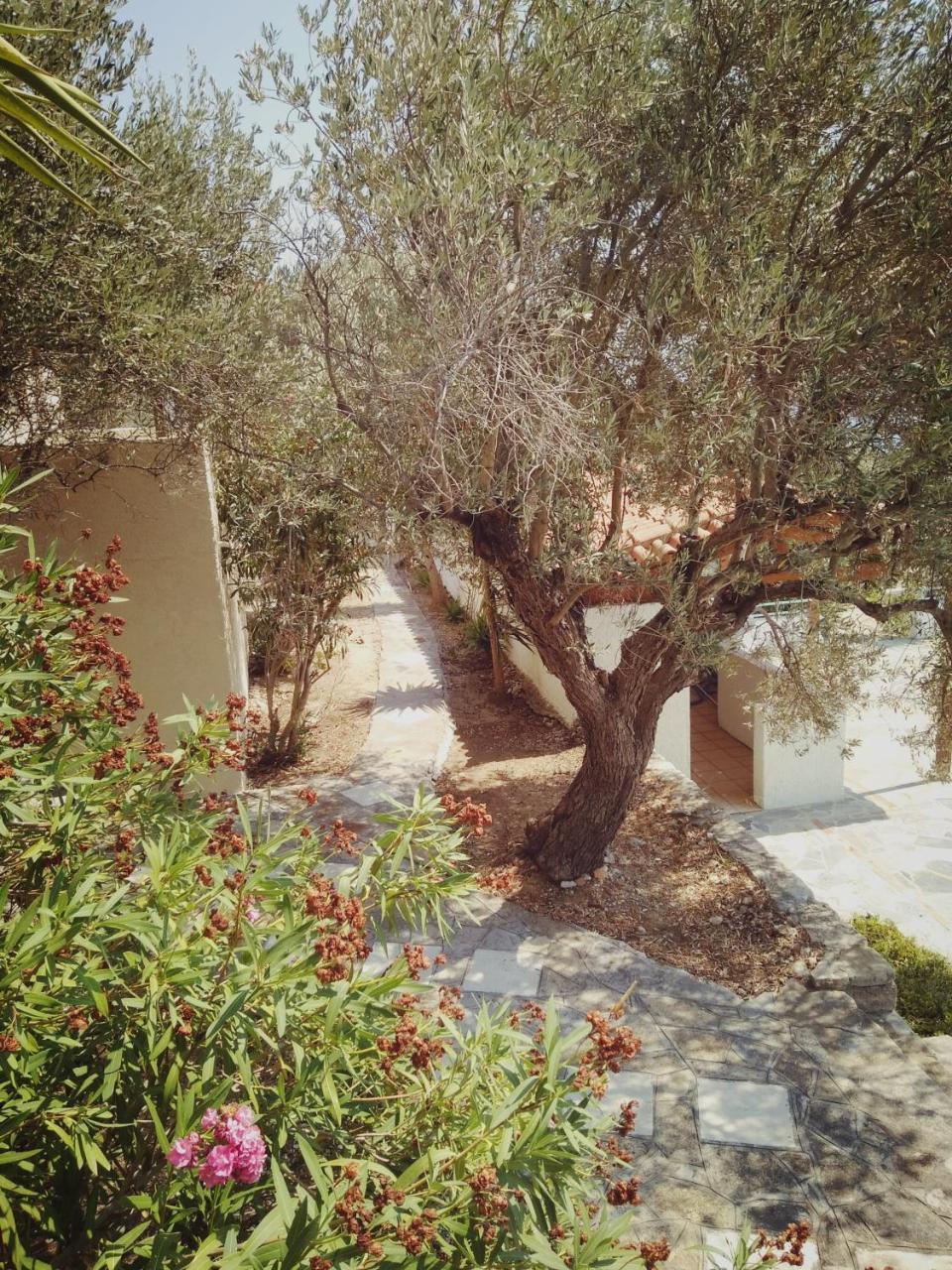 Villa Vigla-Βίγλα 1 2 Ormos  Exterior foto